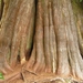 sized_PICT0498