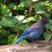 sized_PICT0520
