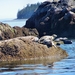 sized_PICT0465
