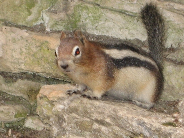 sized_IMG_8469