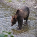sized_PICT0244