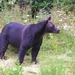 sized_PICT0261