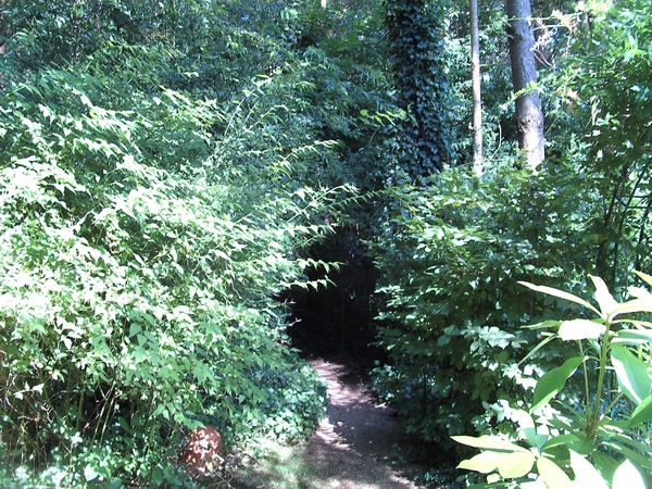 overgang van de tuin in het bos