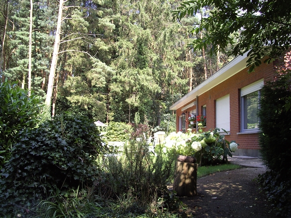 tuin vanuit een andere hoek