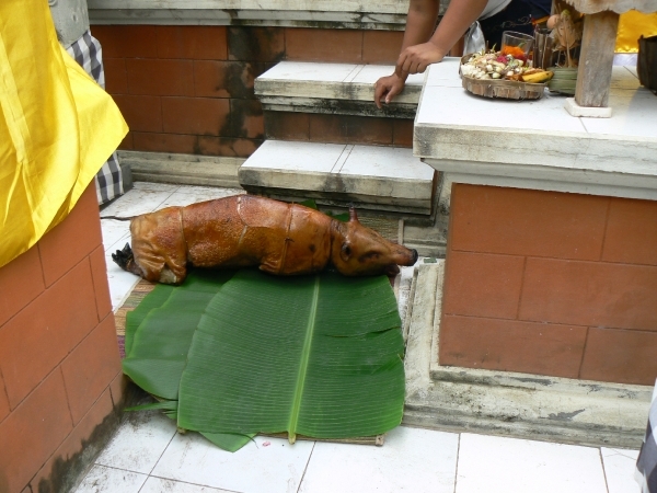 Angun 3 maanden ceremonie