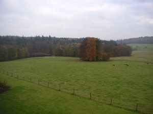 Chateau Des Bisons (21)