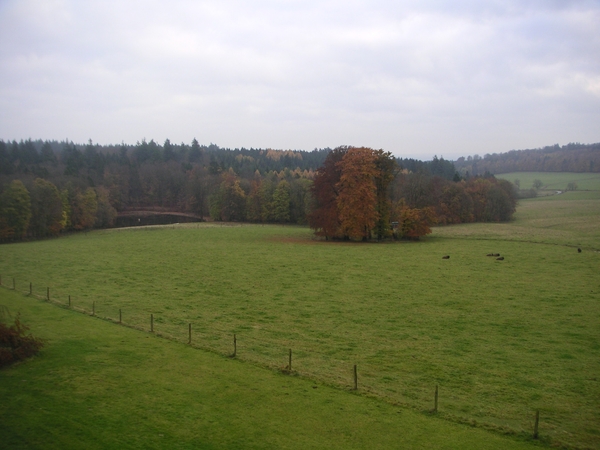 Chateau Des Bisons (21)