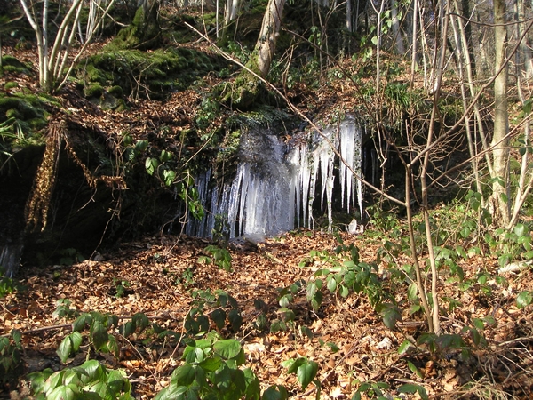Bouillon dec 2007 (28)