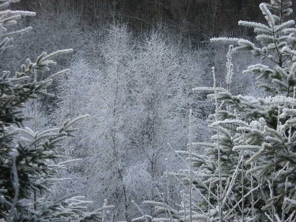 Bouillon dec 2007 (6)