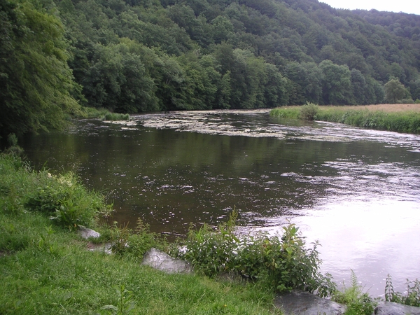 W.E.Boullion 2007 (23)