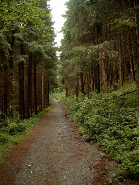 W.E.Boullion 2007 (63)