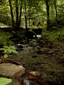 W.E.Boullion 2007 (65)