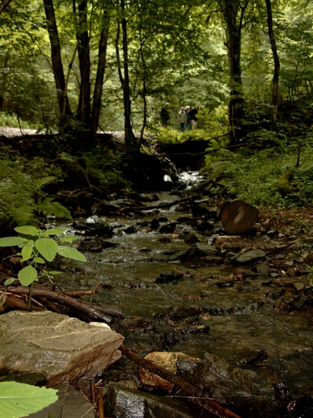 W.E.Boullion 2007 (65)