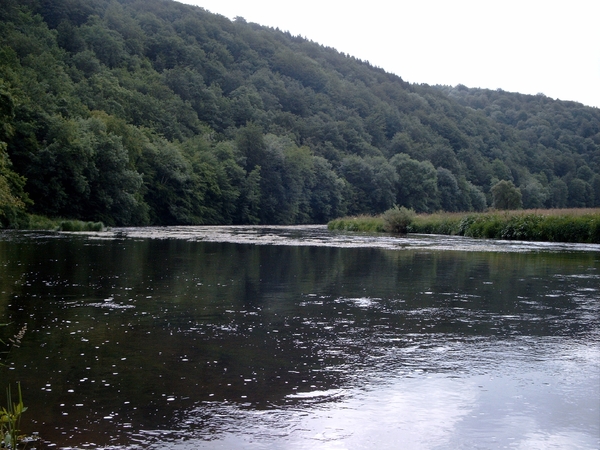 W.E.Boullion 2007 (67)