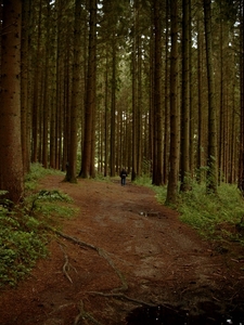 W.E.Boullion 2007 (73)