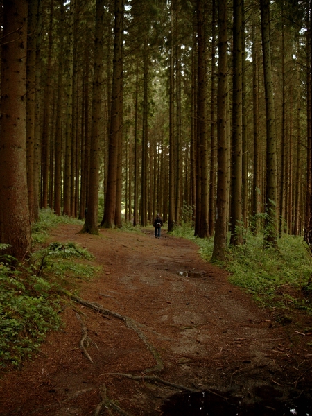 W.E.Boullion 2007 (73)