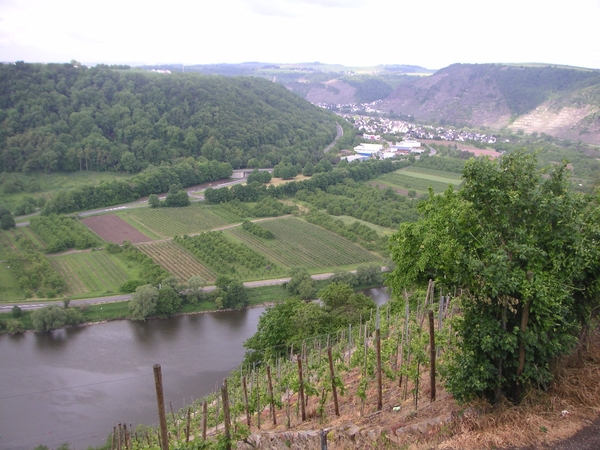 zwarte woud met Motorhome 005