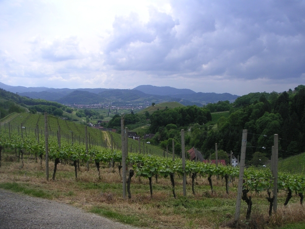 zwarte woud met Motorhome 013