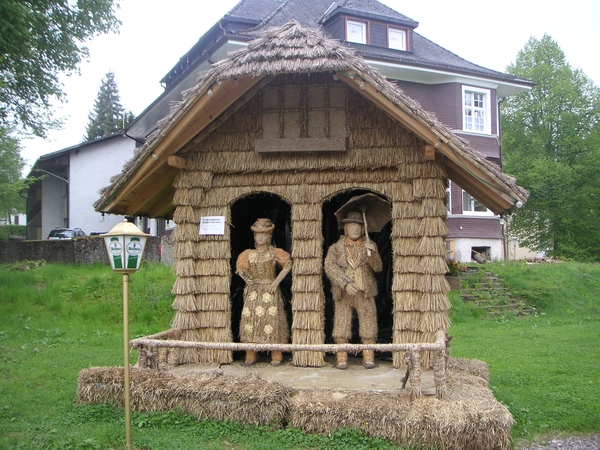 zwarte woud met Motorhome 079