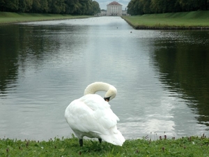 6536_nymphenburg