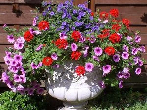 Bloemenweelde