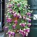 BILD0251