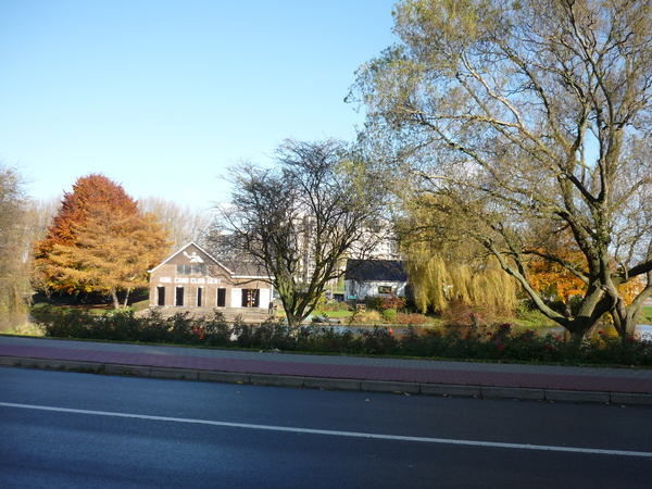 BLAARMEERSEN  08.11.08 004