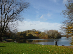 BLAARMEERSEN  08.11.08 009