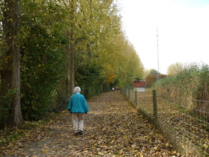 DEINZE 14.10.08 005