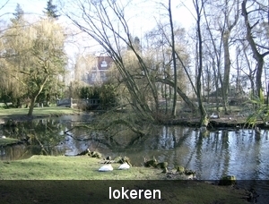 lokeren