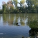 overmere