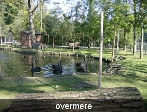 overmere