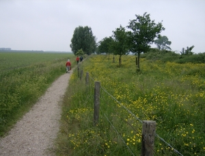 AARDENBURG 01.06.08 006