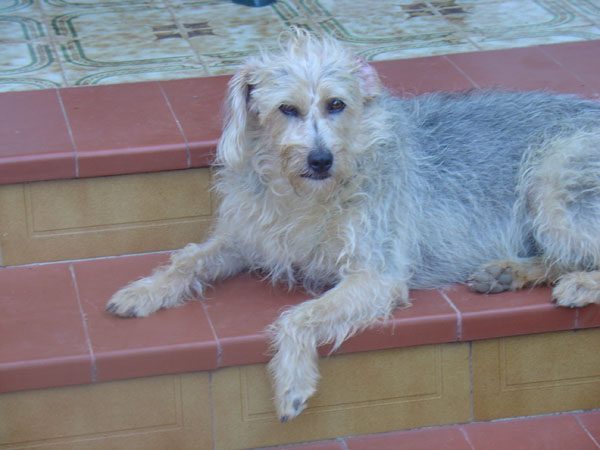 Nala van Norie, haar schattekrobbeltje