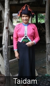 Laos - Bevolking 2008