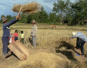 Laos - Bevolking 2008