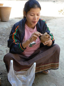 Laos - Bevolking 2008