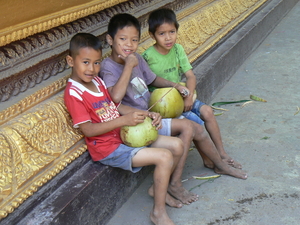 Laos - Bevolking 2008