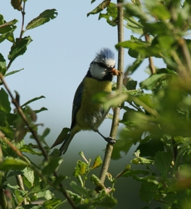 ardennen 3401