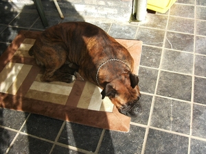 18.10.2008  zora 006