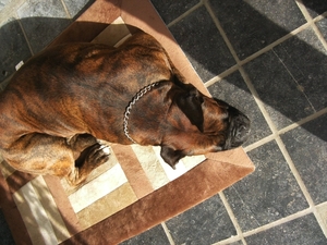 18.10.2008  zora 007