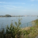 SCHELDE _20081012_2170