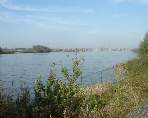 SCHELDE _20081012_2170