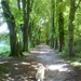 BEGIN WANDELING