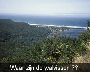 Westkaap