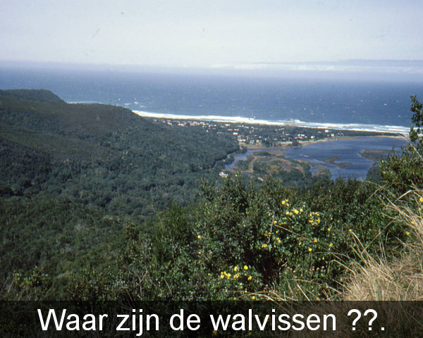 Westkaap