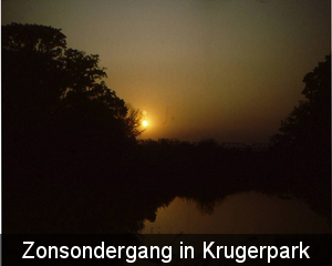 Krugerpark