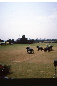 Poltiefeest in Jo'burg