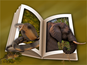 olifant en slang uit boek uitkader