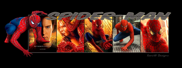 spider-man 2